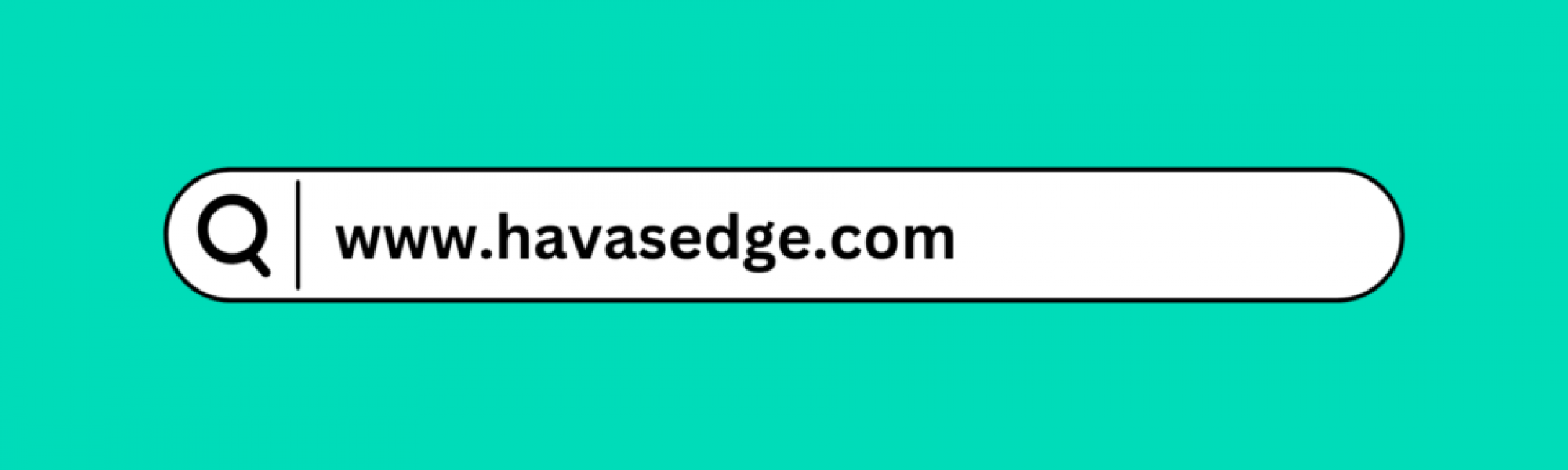 A search engine toolbar with the phrase "www.havasedge.com" typed into it